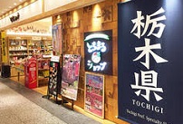 Antennashop アンテナショップ