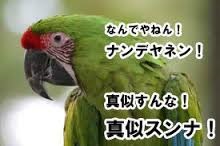 会社・就活用語 倍返し