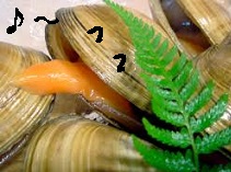 和食用語 バカガイ