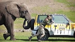 自動車用語 エンスト