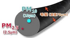 p PM2.5
